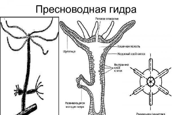 Ссылка на омгу